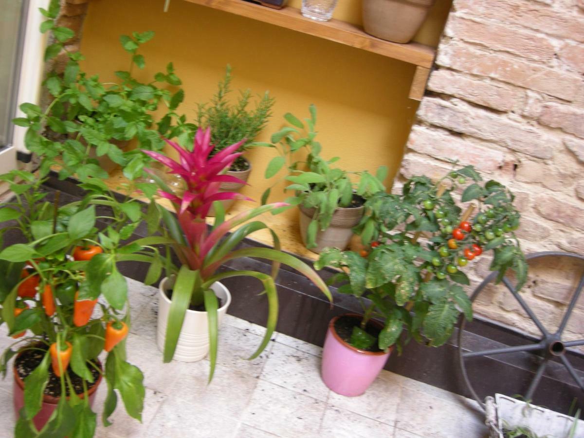 Apartamento Terrazza Petroni Bolonia Exterior foto